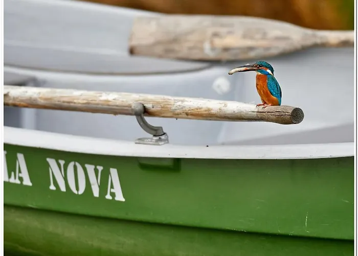 Séjour chez l'habitant Joesuu